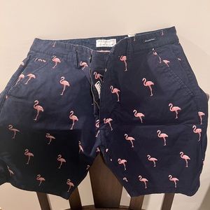 Shorts - Flamingo